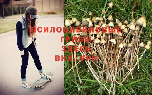 кокаин колумбия Дмитриев