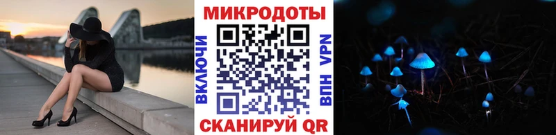 Галлюциногенные грибы Psilocybe  Рыбинск 